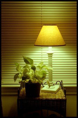 Lamp and Blinds