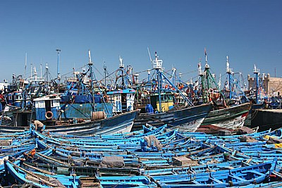 Essourira Boats