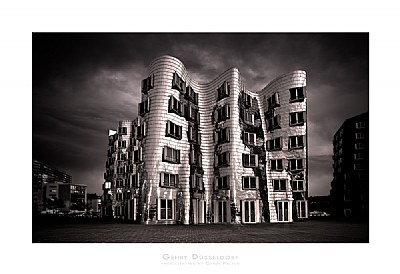 Gehry Building 