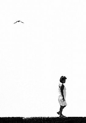 The lady and seagull
