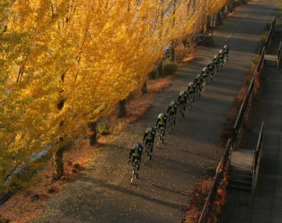 Bike(s?) on the Trail