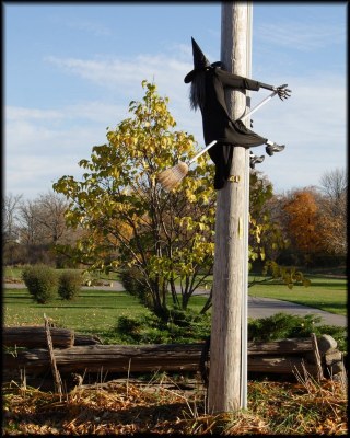 Don't drink & fly...