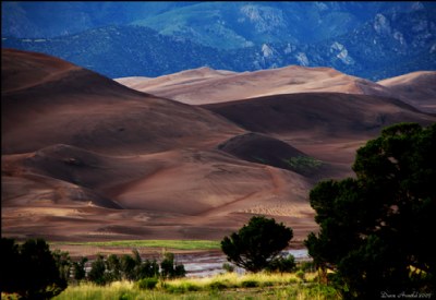 Evening Dunes