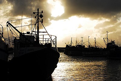 Silhouette Kalkbay Harbour