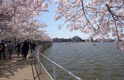 The Tidal Basin