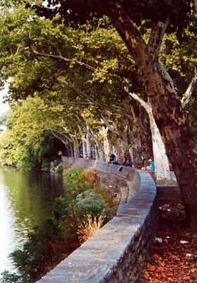 Down by the River