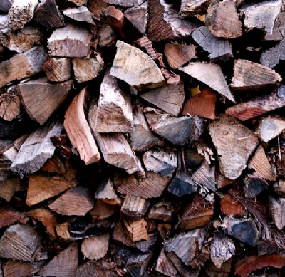 Wood Pile