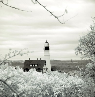 Coastal Paths