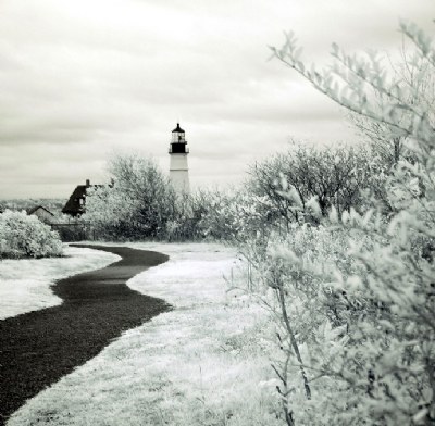 Coastal Paths