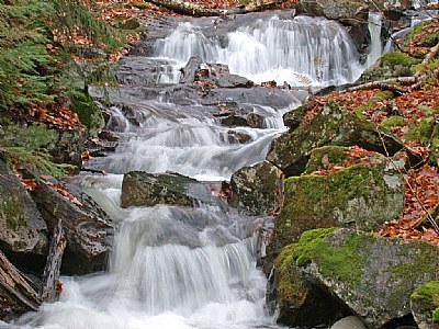 Cascades