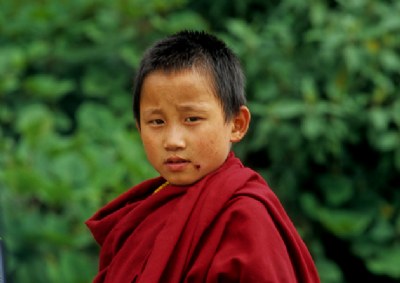 Young Lama