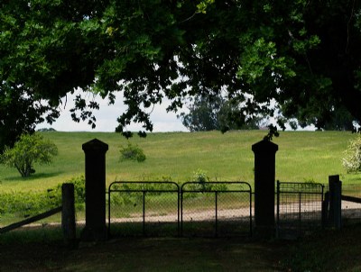 Cemetery Asymmetry 