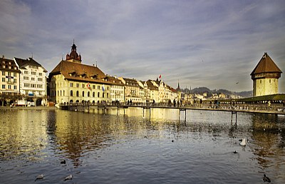 Lucern