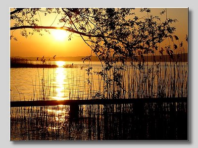 Sunset at the lake