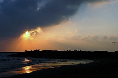 shams