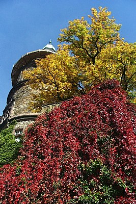 Colors of autumn