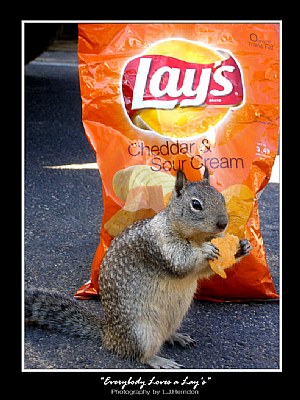 Everybody Loves Lays