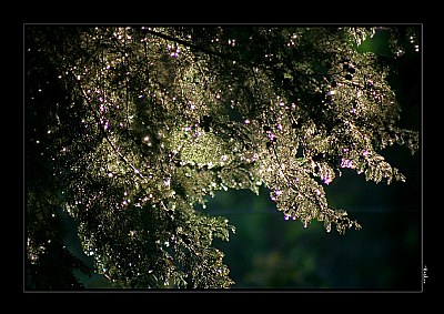 Twinkle Twinkle..!