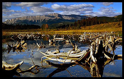 Miette Pond