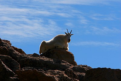 "King of the Mountain"