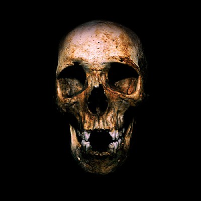 Skull of a Tibetan Youth