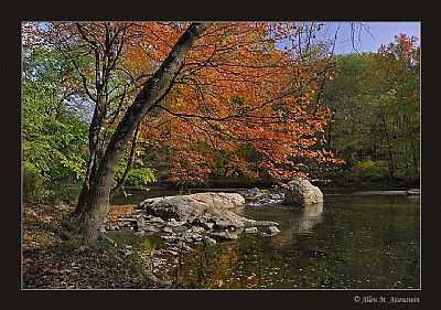 Autumn in Pennypack Park (d1849)