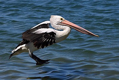 Walking on Water