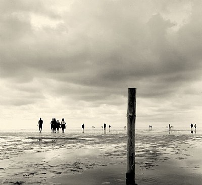 Westerhever III