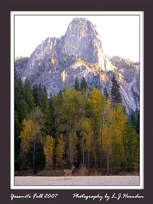 Yosemite Fall 2007