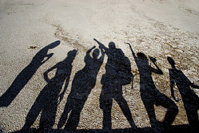 shadows