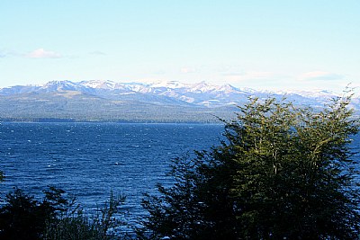 Lake in a Sunny Day