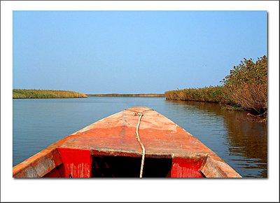 Boating at the river delta