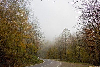 iran autumn3