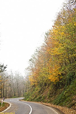 iran autumn4