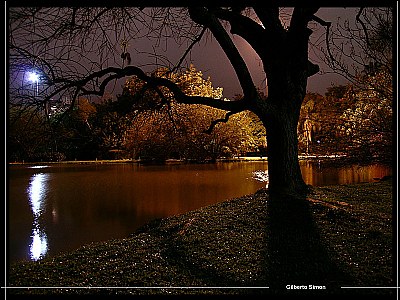 Night IV