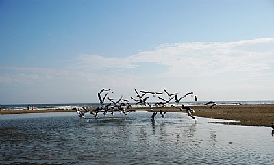 Autumn at The Beach