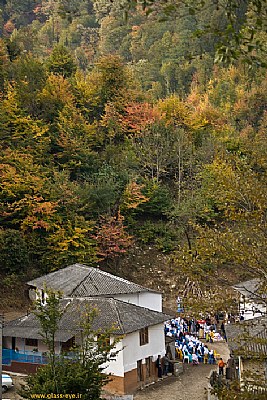 wedding party under fall colors