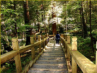 Lake Trail