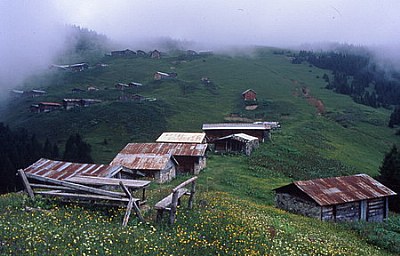 Pokut Village