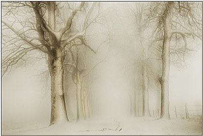 a winter's tale VII