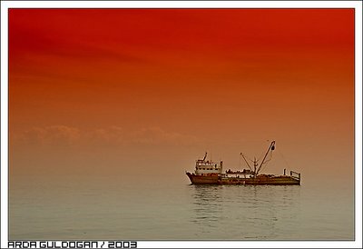 .: The Lonely Boat :.