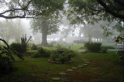 one foggy morning
