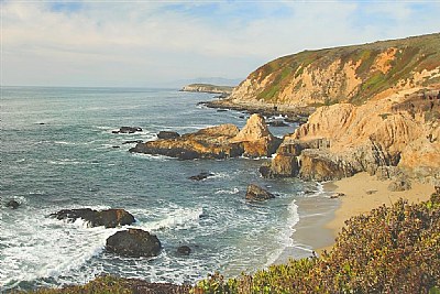 Bodega Head