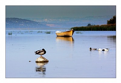 Gölyaz&#305;