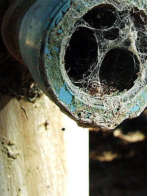 old pipe