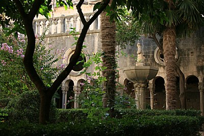 Court View IV