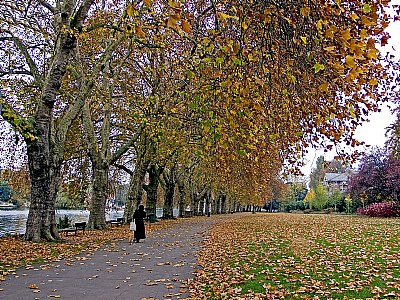 An Autumn Walk