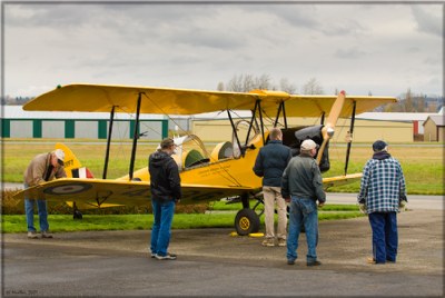 Tiger Moth