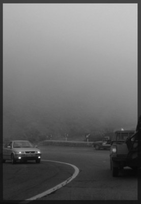 foggy road, foggy mood !