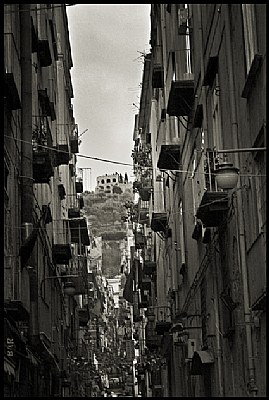 Napoli #5